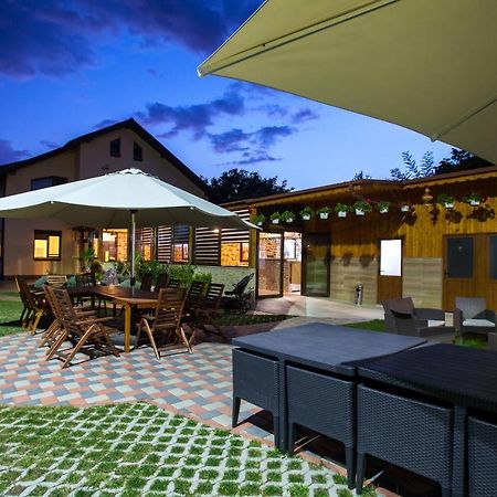 Vila Dumitrana Exterior foto
